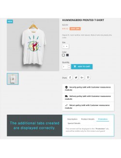 Vista de las pestañas en la página del producto del módulo Pestañas Adicionales del Producto para PrestaShop