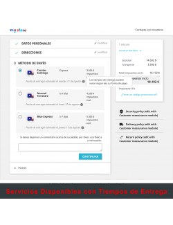 Lista de servicios del módulo Transportistas Personalizados para Chile para PrestaShop